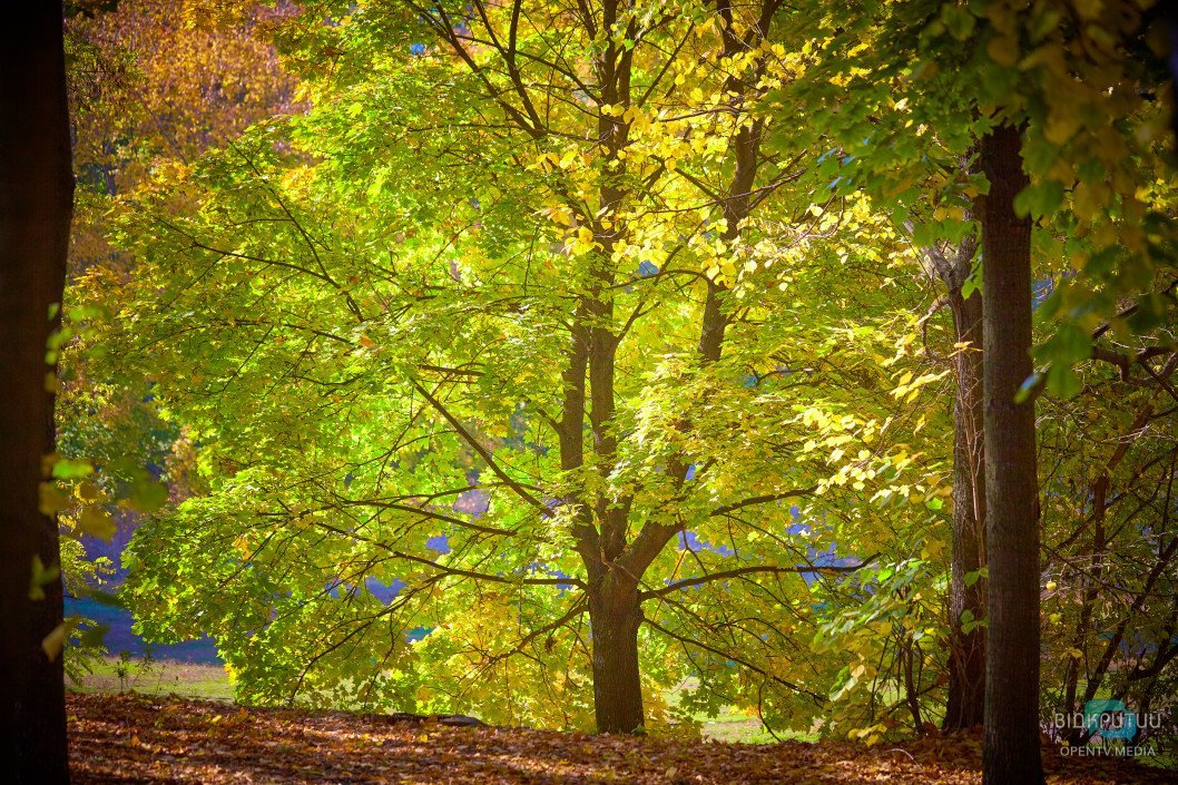 Осенний парк имени Юрия Гагарина в Днепре: как он выглядит сейчас - рис. 19