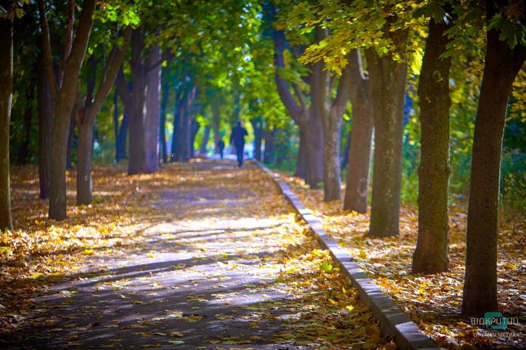 Осенний парк имени Юрия Гагарина в Днепре: как он выглядит сейчас - рис. 21