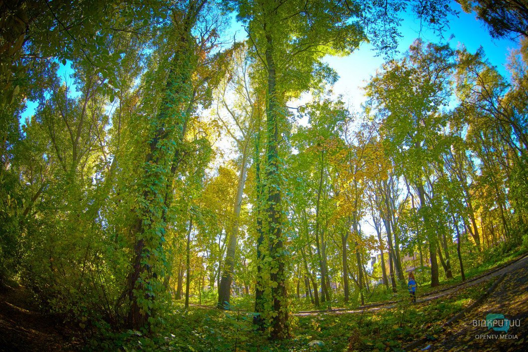 Осенний парк имени Юрия Гагарина в Днепре: как он выглядит сейчас - рис. 40