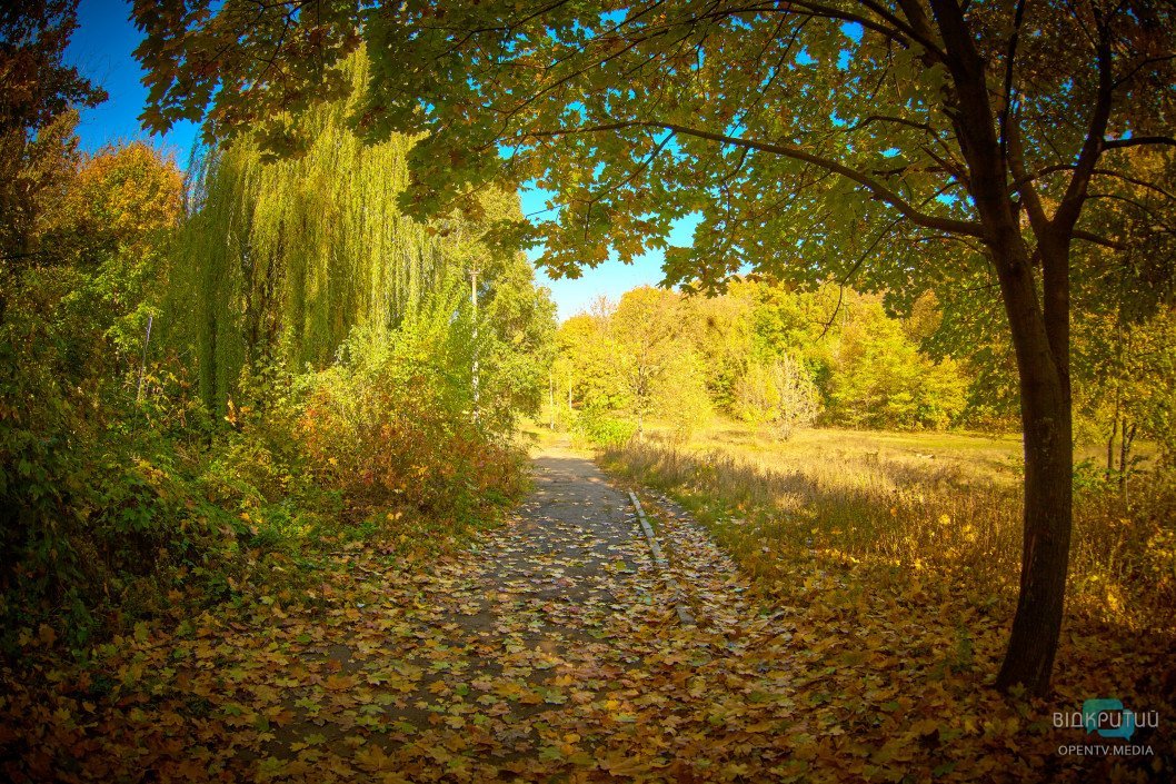 Осенний парк имени Юрия Гагарина в Днепре: как он выглядит сейчас - рис. 43