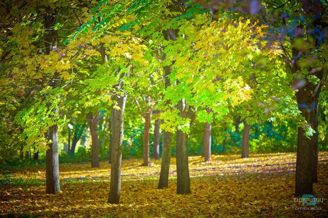 Осенний парк имени Юрия Гагарина в Днепре: как он выглядит сейчас - рис. 50