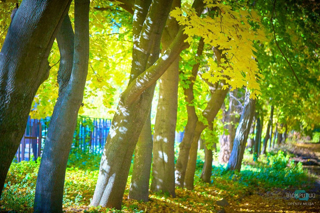 Осенний парк имени Юрия Гагарина в Днепре: как он выглядит сейчас - рис. 63