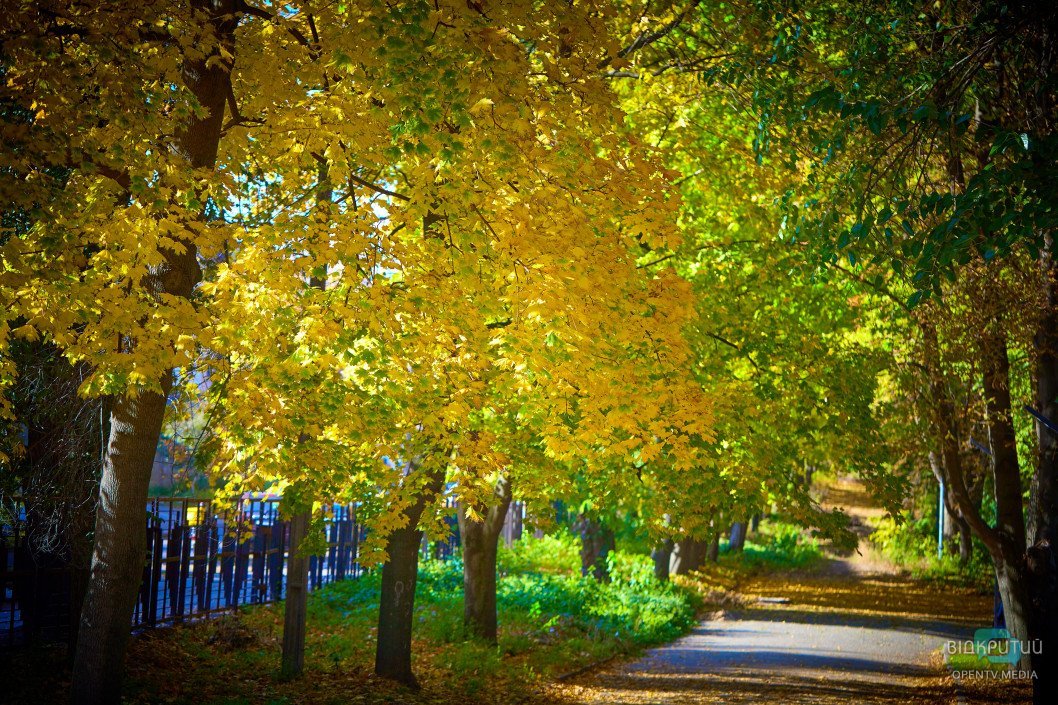 Осенний парк имени Юрия Гагарина в Днепре: как он выглядит сейчас - рис. 68
