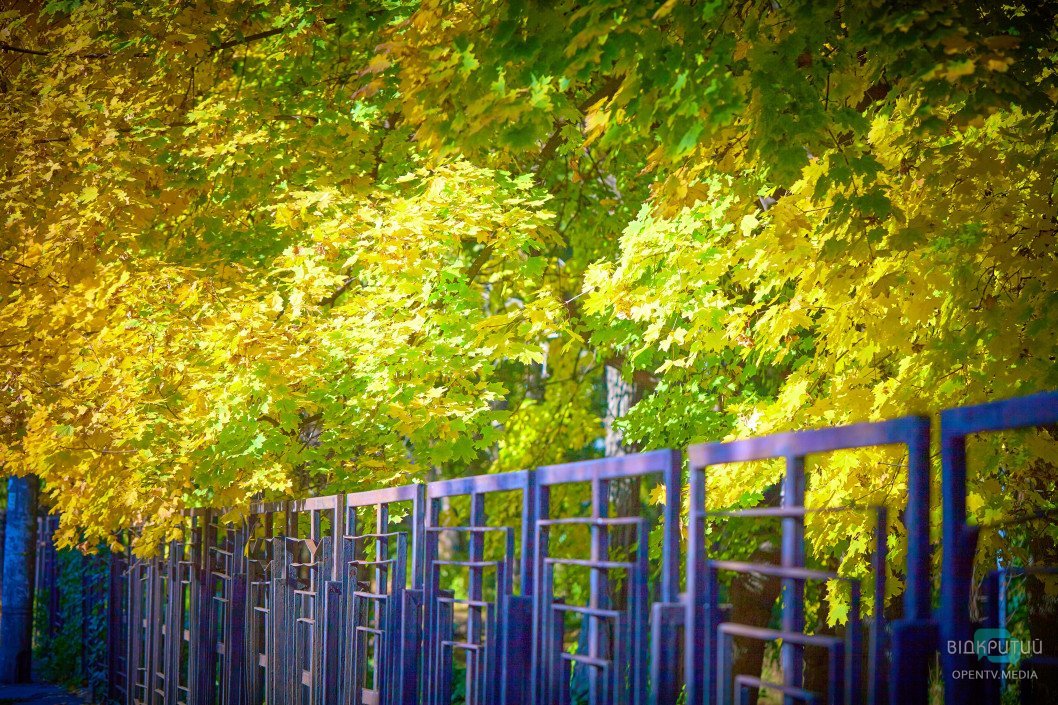 Осенний парк имени Юрия Гагарина в Днепре: как он выглядит сейчас - рис. 69