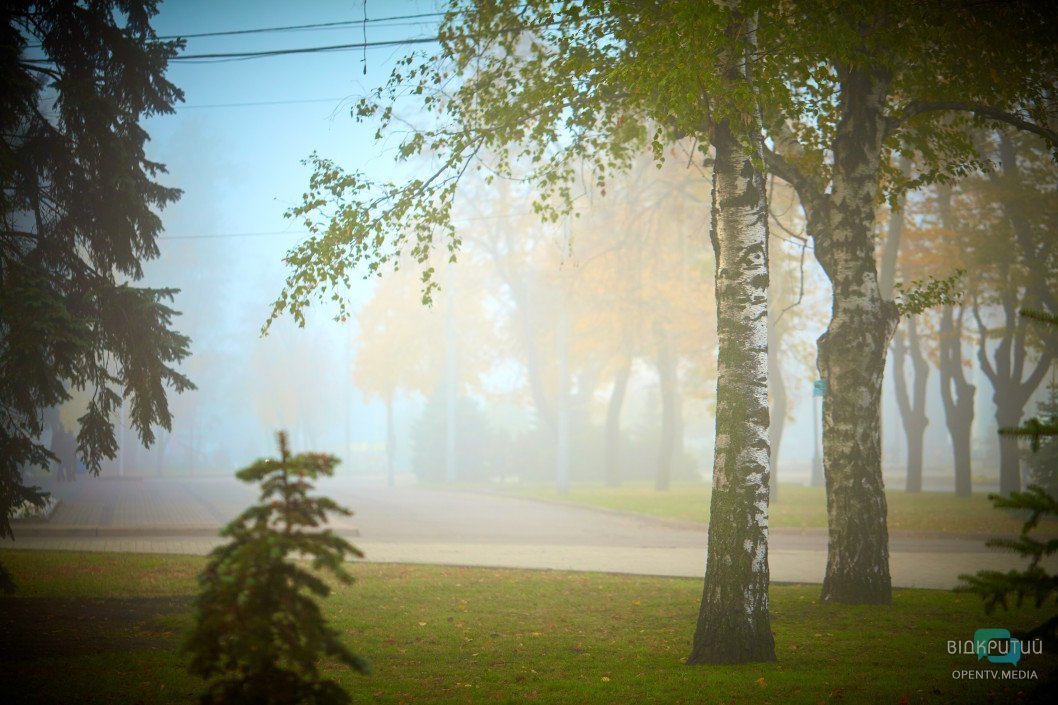 Сквер Героев в туманной дымке: фото - рис. 10