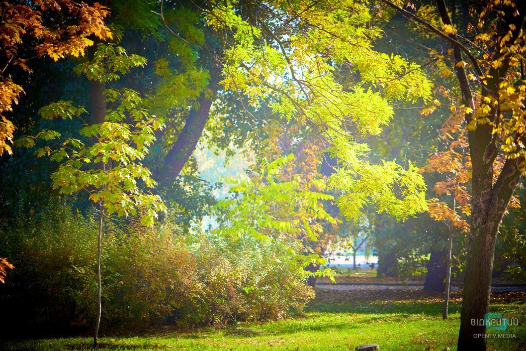Осенний парк Глобы - рис. 79