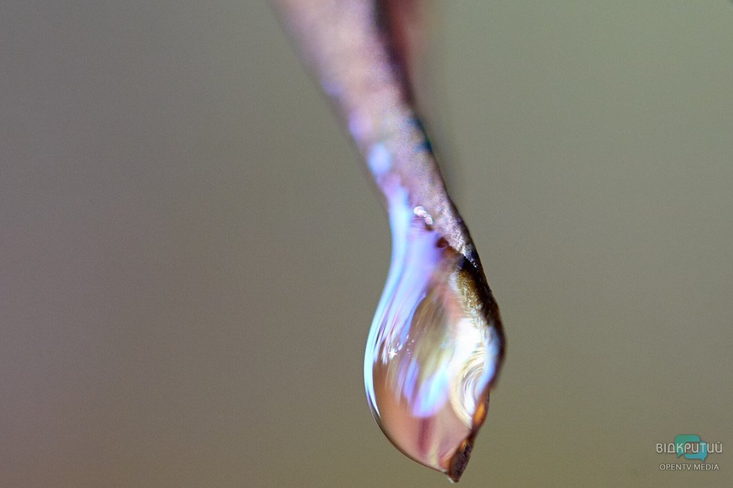 Красота под ногами: Відкритий показал прекрасную днепровскую природу - рис. 21