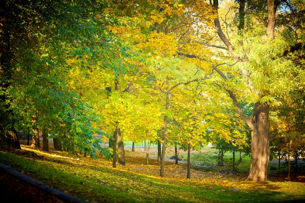Осенний парк Глобы - рис. 123