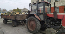Патрульные Павлограда остановили вырубку дубов - рис. 17
