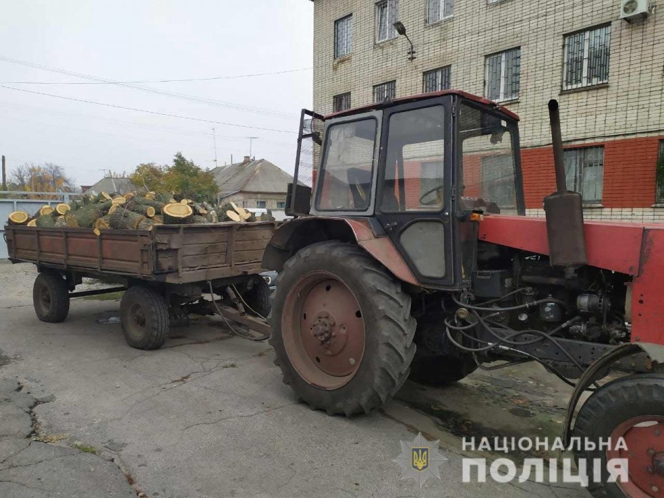 Патрульные Павлограда остановили вырубку дубов - рис. 1