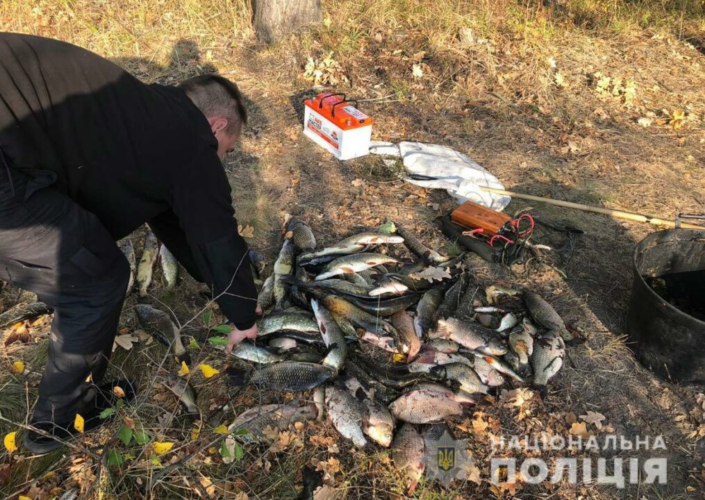 В Днепропетровской области полиция задержала браконьеров - рис. 1