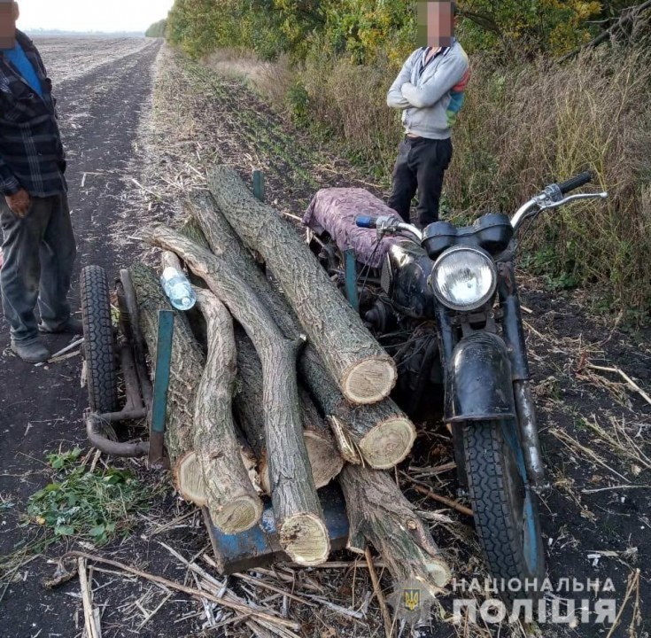 В Днепропетровской области полицейские обнаружили автомобиль со спиленными деревьями - рис. 2