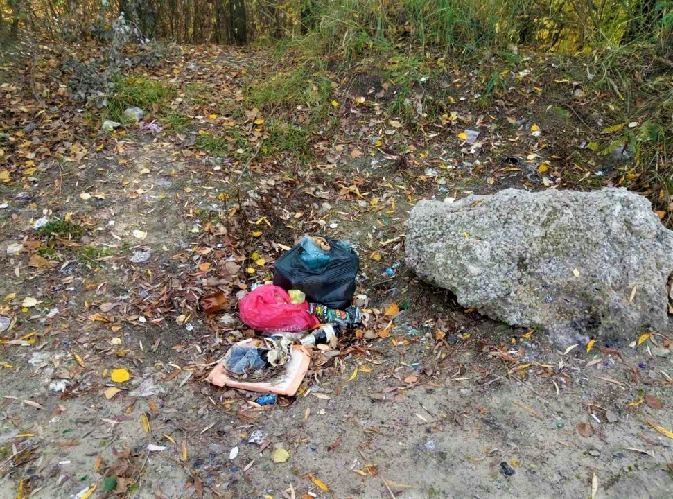 Стало известно, кто разводит стихийные свалки на Красном Камне и Парусе - рис. 4