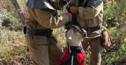 В Каменском пятеро спасателей доставали из погреба козу - рис. 2