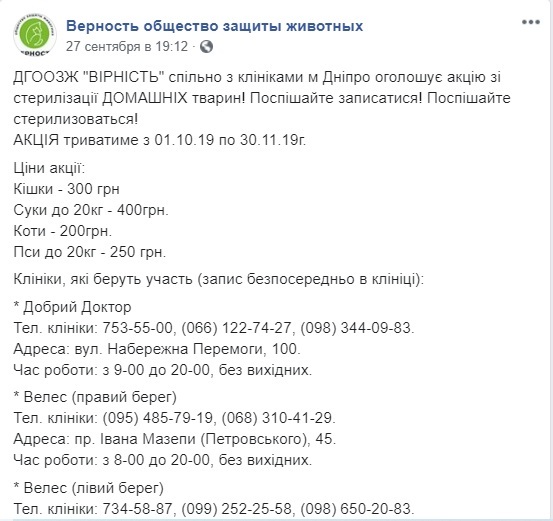 В Днепре началась акция по стерилизации домашних животных - рис. 1