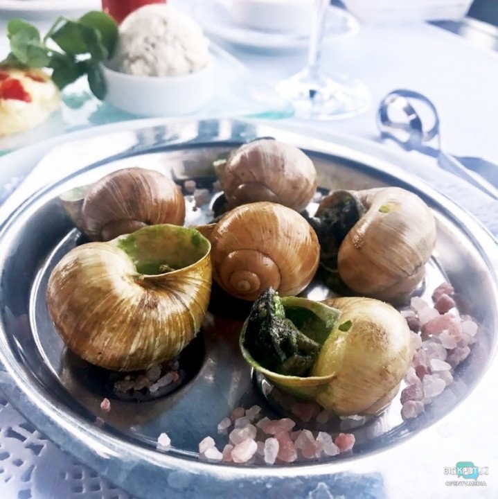 Жареные сверчки и филе каракатицы: 7 экзотических блюд, которые можно попробовать в кафе Днепра - рис. 7