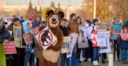 Слонов могут бить электрошокерами: зоозащитники вышли на акцию протеста перед цирком - рис. 21