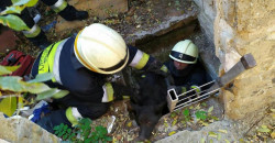В Днепре из глубокой ямы с грудой мусора вытащили маленького пса - рис. 14