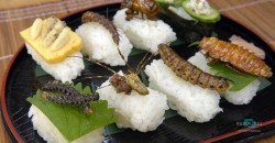 Жареные сверчки и филе каракатицы: 7 экзотических блюд, которые можно попробовать в кафе Днепра - рис. 12