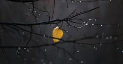 Какая погода будет в Днепре 1 декабря - рис. 18