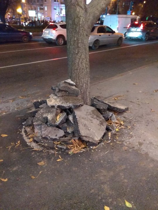 Как тебе такое, Илон Маск? В Днепре деревья "утепляют" кусками асфальта - рис. 3