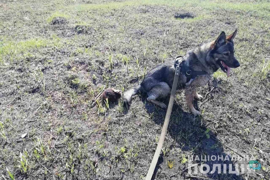 Комиссар Рекс: в Днепре собака помогла арестовать наркодиллера - рис. 1