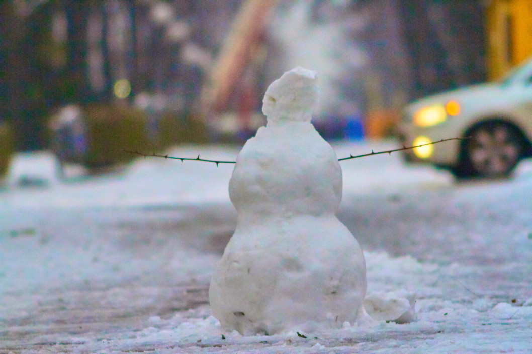 Первый снеговик в Днепре. 