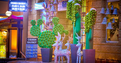 Олени, кактусы-гиганты и первый снеговик: как украсили Екатеринославский бульвар - рис. 6