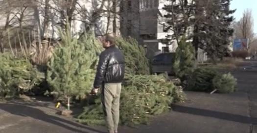 Добро есть: в Днепре предприниматель бесплатно раздает елки пенсионерам и многодетным - рис. 1