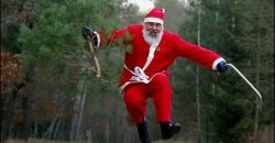 "Праздничный" вор: на Днепропетровщине мужчина пытался украсть елку из сквера - рис. 10