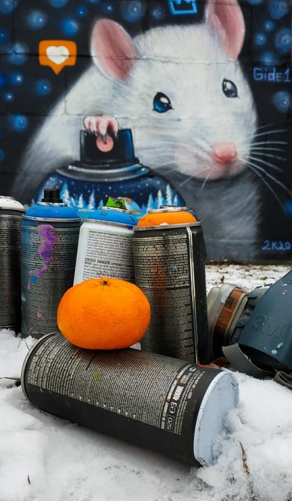 Символ 2020 на Набережной Днепра: Белая Крыса "поселилась" на мурале (ФОТО) - рис. 2