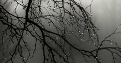 Какая погода будет в Днепре 9 декабря - рис. 8