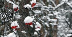 Какая погода будет в Днепре 5 декабря - рис. 13