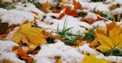 Какая погода будет в Днепре 2 декабря - рис. 16