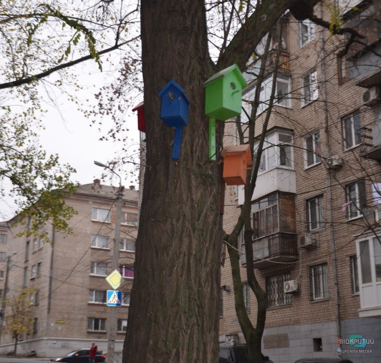 Разноцветные скворечники на деревьях в Днепре. 