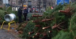 Ну что за люди: на Поля уличные торговцы уничтожают молодые деревца (ФОТО) - рис. 1