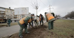 Клен зеленый, клен кудрявый: в Днепре посадят более 200 молодых деревьев (ФОТО) - рис. 2