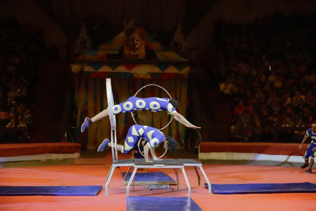 В Днепре ребята из малообеспеченных семей сходили в цирк - рис. 2