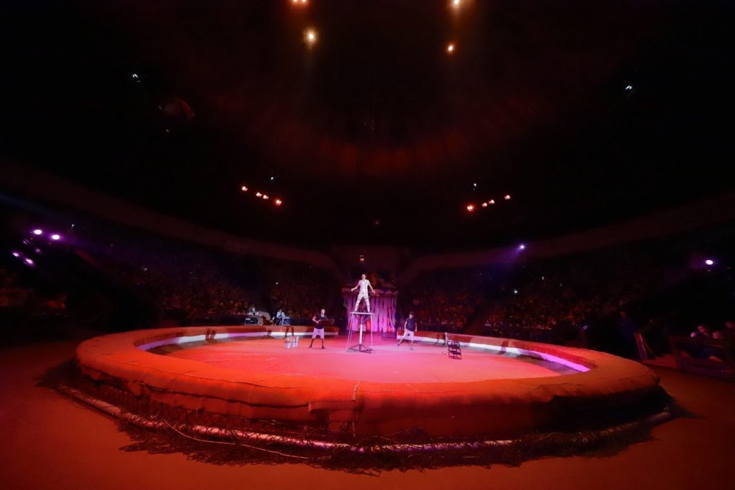 В Днепре ребята из малообеспеченных семей сходили в цирк - рис. 4