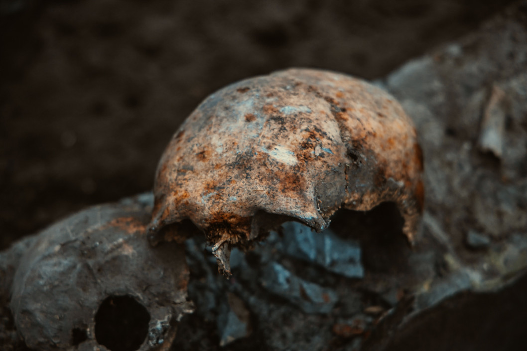 В Днепре под павильоном детсада нашли человеческий череп - рис. 1