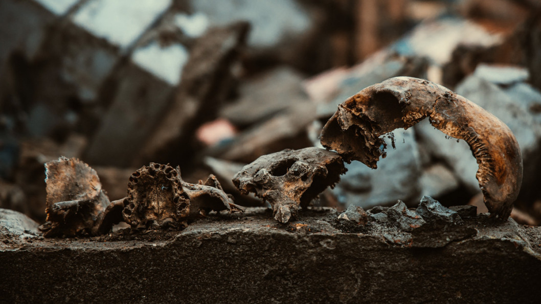 В Днепре под павильоном детсада нашли человеческий череп - рис. 4