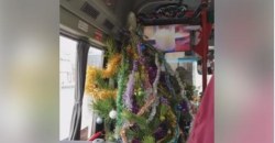 Новогоднее настроение: в Днепре ездит маршрутка с живой елкой в салоне (ВИДЕО) - рис. 1