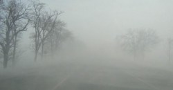 В Днепре и области ожидается сильный туман: водителей призывают быть осторожными за рулем - рис. 18