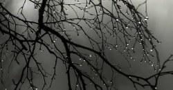 Какая погода будет в Днепре 14 января - рис. 14