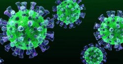 ВІДЕО: "Захисні кордони" від коронавірусу організують у Дніпрі - рис. 22