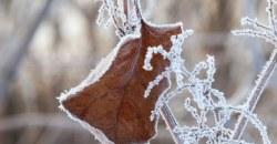 Какая погода будет в Днепре 13 января - рис. 15