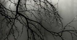 Какая погода будет в Днепре 25 января - рис. 2