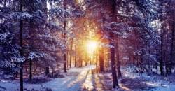 Какая погода будет в Днепре 24 января - рис. 3