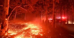 Украина поможет Австралии справиться с лесными пожарами - Аваков - рис. 16