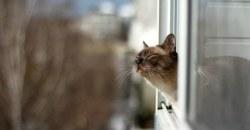 Какая погода будет в Днепре 27 января - рис. 22